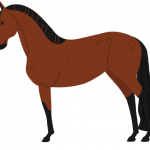 馬
